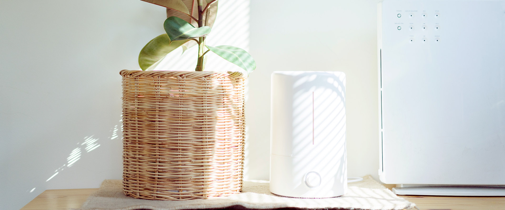 Which Air Purifiers Don't Emit Ozone? - A Comprehensive Guide