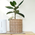 HEPA vs Ionizer: Which Air Purifier is the Best Choice?
