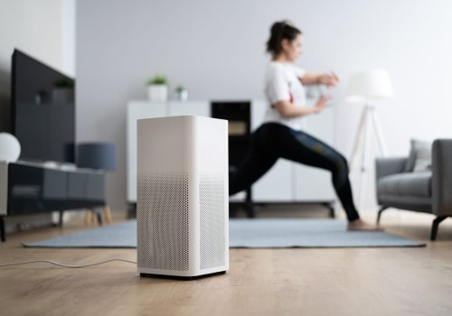 Should I Buy an Air Purifier with an Ionizer?