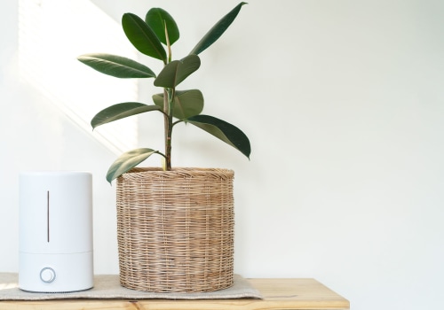 Air Purifiers vs. Ionizers: Which is Better for Your Home?